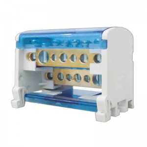 RBD Distribution Box 2Poles