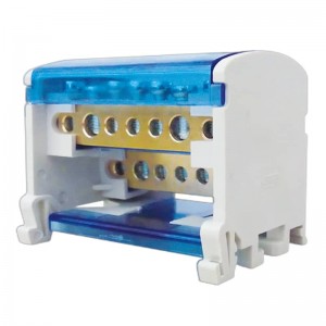 RBD Distribution Box 2Poles